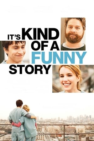 It's Kind of a Funny Story (2010) Hindi Dual Audio 720p BluRay [950MB] ESubs HD Poster Download - filmyfly