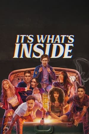 It’s What’s Inside 2024 Hindi Dual Audio HDRip 1080p - 720p - 480p HD Poster Download - filmyfly