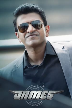 James (2022) Hindi Movie HDRip 720p – 480p HD Poster Download - filmyfly