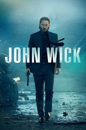 John wick 2014 100mb Hindi Dual Audio movie Hevc BRRip Download HD Poster Download - filmyfly