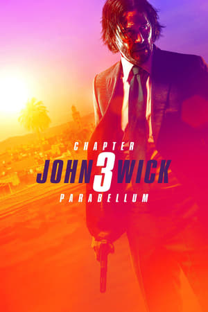 John Wick Chapter 3 Parabellum (2019) Hindi Dubbed 720p BluRay [1GB] HD Poster Download - filmyfly