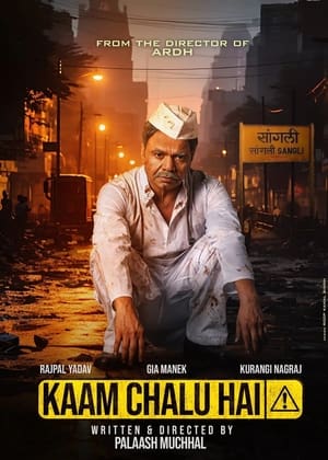 Kaam Chalu Hai 2024 Hindi HDRip 720p – 480p – 1080p HD Poster Download - filmyfly