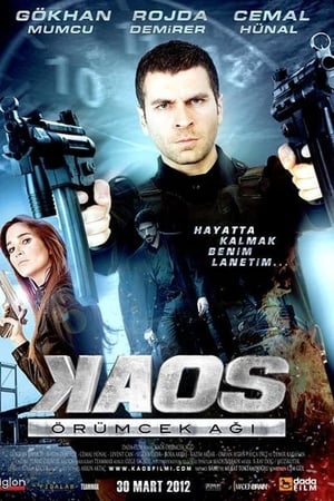 Kaos: Örümcek Agi (2012) Hindi Dual Audio HDRip 720p – 480p HD Poster Download - filmyfly