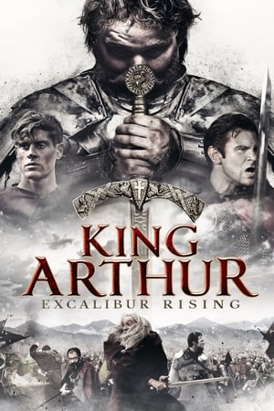 King Arthur: Excalibur Rising 2017 Hindi Dual Audio HDRip 720p – 480p HD Poster Download - filmyfly