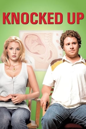 Knocked Up (2007) Hindi Dual Audio 480p BluRay 350MB HD Poster Download - filmyfly