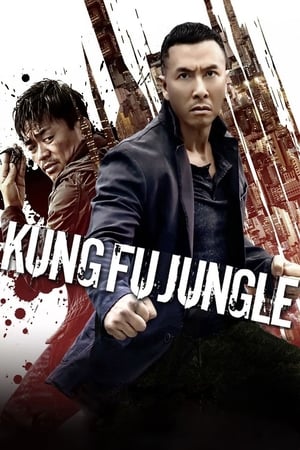Kung Fu Jungle (2014) Hindi Dual Audio 720p BluRay [800MB] HD Poster Download - filmyfly