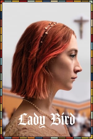 Lady Bird 2017 Hindi Dual Audio 720p BluRay [860MB] HD Poster Download - filmyfly