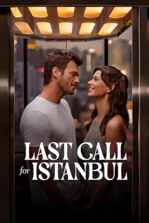 Last Call for Istanbul 2023 Hindi Dual Audio HDRip 720p – 480p HD Poster Download - filmyfly