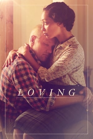 Loving (2016) Hindi Dual Audio 720p BluRay [1.2GB] HD Poster Download - filmyfly