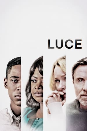 Luce 2019 Hindi Dual Audio 720p Web-DL [1GB] HD Poster Download - filmyfly