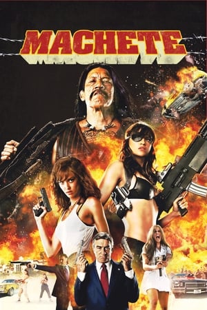 Machete 2010 Hindi Dual Audio 480p BluRay 300MB HD Poster Download - filmyfly