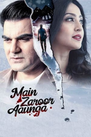 Main Zaroor Aaunga 2019 Hindi Movie 720p HDRip x264 [670MB] HD Poster Download - filmyfly