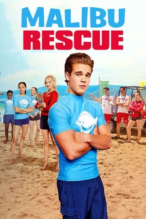 Malibu Rescue (2019) Hindi Dual Audio 480p HDRip 650MB HD Poster Download - filmyfly
