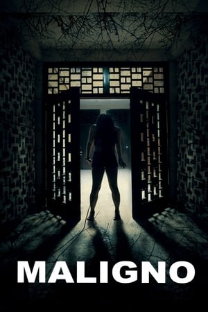 Maligno (2016) Hindi Dual Audio 720p Web-DL [1.2GB] HD Poster Download - filmyfly