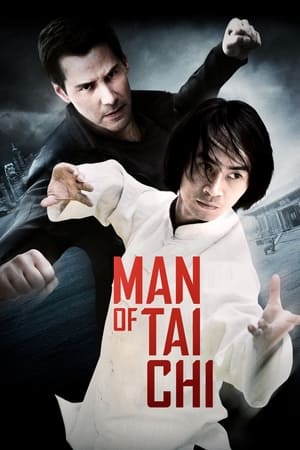 Man of Tai Chi (2013) Hindi Dual Audio HDRip 720p – 480p HD Poster Download - filmyfly