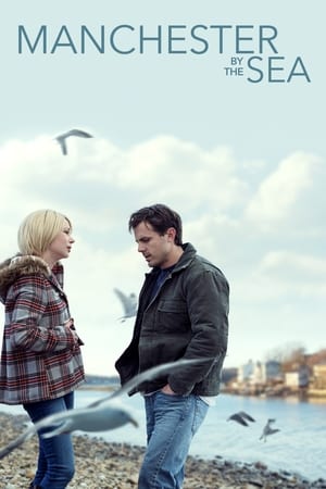 Manchester by the Sea 2016 Hindi Dual Audio 720p BluRay [1.3GB] HD Poster Download - filmyfly