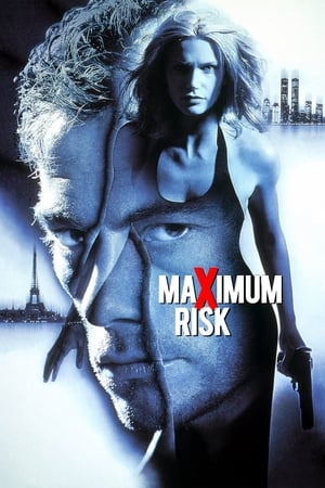 Maximum Risk (1996) Hindi Dual Audio 480p BluRay 330MB HD Poster Download - filmyfly