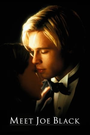 Meet Joe Black 1998 Dual Audio Hindi 480p BluRay 550MB HD Poster Download - filmyfly
