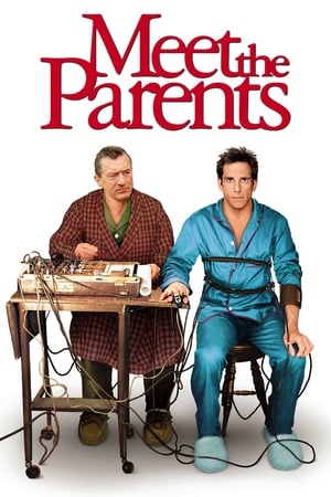 Meet the Parents 2000 Hindi Dual Audio 720p BluRay [930MB] HD Poster Download - filmyfly