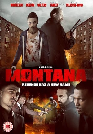 Montana (2014) Hindi Dual Audio 480p BluRay 350MB HD Poster Download - filmyfly