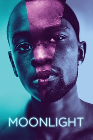 Moonlight (2016) Full Movie [HDCAM] 800MB HD Poster Download - filmyfly