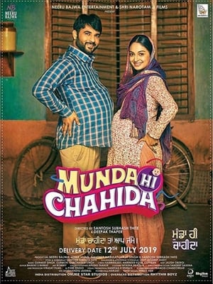 Munda Hi Chahida (2019) Punjabi Movie 720p HDTVRip x264 [1GB] HD Poster Download - filmyfly