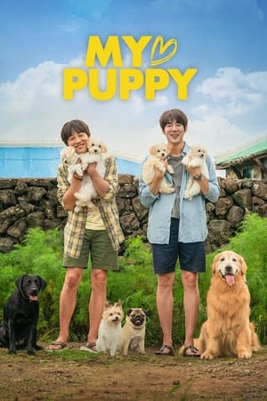 My Heart Puppy (2022) Hindi Dual Audio HDRip 720p – 480p HD Poster Download - filmyfly