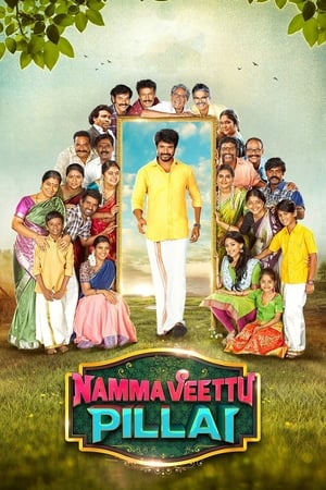 Namma Veettu Pillai (2019) (Hindi – Tamil) Dual Audio 480p UnCut HDRip 450MB HD Poster Download - filmyfly