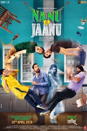 Nanu Ki Jaanu (2018) Movie 480p HDRip – [400MB] HD Poster Download - filmyfly