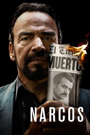 Narcos 2016 S02 Hindi Dubbed All Episode Download HD Poster Download - filmyfly