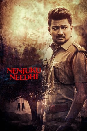 Nenjuku Needhi 2022 Hindi (HQ-Dub) HDRip 720p – 480p HD Poster Download - filmyfly