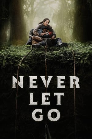 Never Let Go 2024 Hindi Dual Audio HDRip 1080p – 720p – 480p HD Poster Download - filmyfly