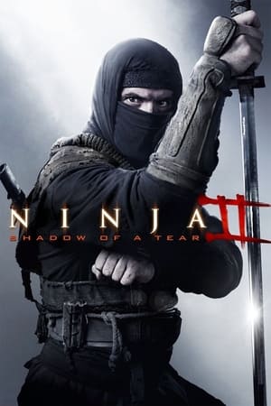 Ninja Shadow of a Tear 2013 Hindi Dual Audio 720p BluRay [800MB] HD Poster Download - filmyfly