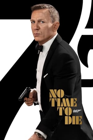 No Time To Die (2021) Hindi (ORG) Dual Audio HDRip 720p – 480p HD Poster Download - filmyfly