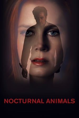 Nocturnal Animals (2016) Hindi Dual Audio 720p BluRay [1GB] HD Poster Download - filmyfly