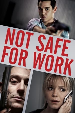 Not Safe for Work (2014) Hindi Dual Audio 720p BluRay [750MB] ESubs HD Poster Download - filmyfly