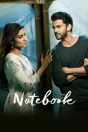 Notebook (2019) Hindi Movie 720p HDRip x264 [1.4GB] HD Poster Download - filmyfly
