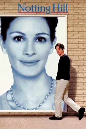 Notting Hill 1999 Hindi Dual Audio 480p BluRay 380MB HD Poster Download - filmyfly