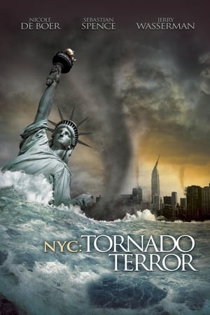 NYC Tornado Terror 2008 Hindi Dual Audio 720p BluRay [1.1GB] HD Poster Download - filmyfly