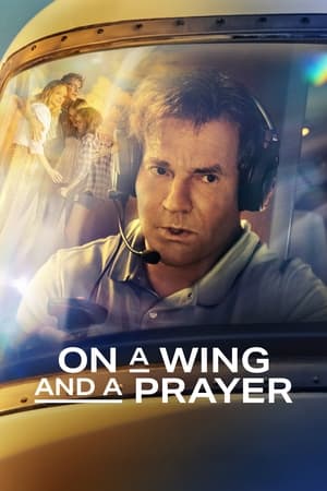 On a Wing and a Prayer 2023 Hindi Dual Audio HDRip 720p – 480p HD Poster Download - filmyfly
