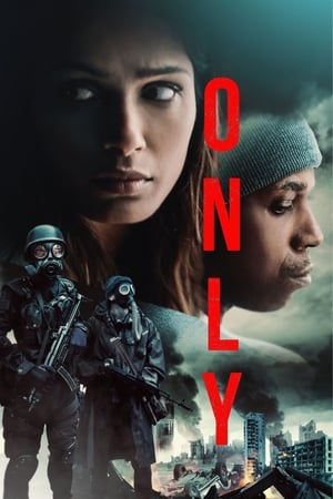 Only 2019 Hindi Dual Audio 480p Web-DL 300MB HD Poster Download - filmyfly