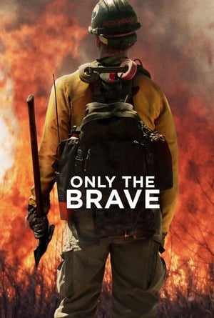 Only the Brave 2017 Hindi Dual Audio HDRip 720p – 480p HD Poster Download - filmyfly