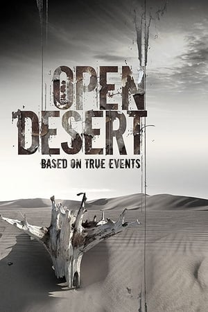 Open Desert (2013) Hindi Dual Audio HDRip 720p – 480p HD Poster Download - filmyfly