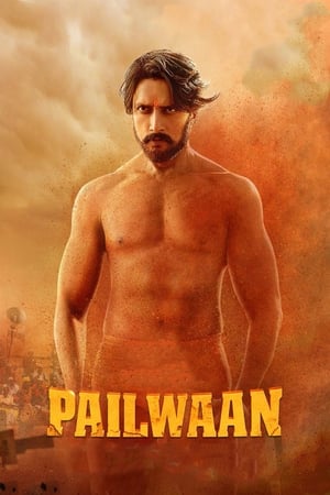 Pailwaan (2019) Hindi (Org) Dual Audio Movie 480p HDRip - [450MB] HD Poster Download - filmyfly