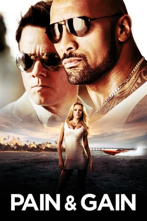 Pain & Gain 2013 Movie 100MB Hevc Buray Hindi Dual Audio HD Poster Download - filmyfly