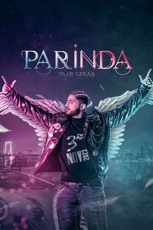 Parinda Paar Geyaa 2023 Punjabi HDRip 720p – 480p HD Poster Download - filmyfly