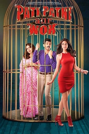 Pati Patni Aur Woh 2019 Hindi Movie 720p HDRip x264 [1.2GB] HD Poster Download - filmyfly