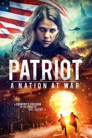 Patriot A Nation at War 2020 Hindi Dual Audio 480p Web-DL 300MB HD Poster Download - filmyfly