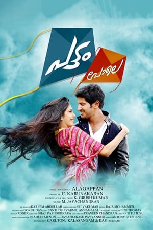 Pattam Pole (2013) (Hindi – Malayalam) Dual Audio 720p UnCut HDRip [1.2GB] HD Poster Download - filmyfly