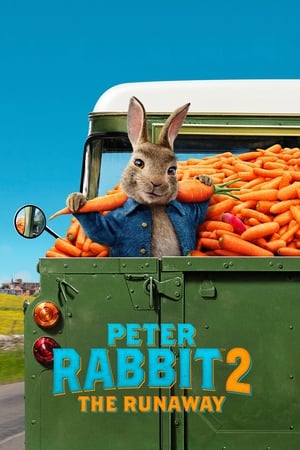 Peter Rabbit 2: The Runaway (2021) Hindi Dual Audio 720p BluRay [980MB] HD Poster Download - filmyfly